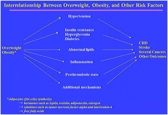 Click to enlarge NECD slide