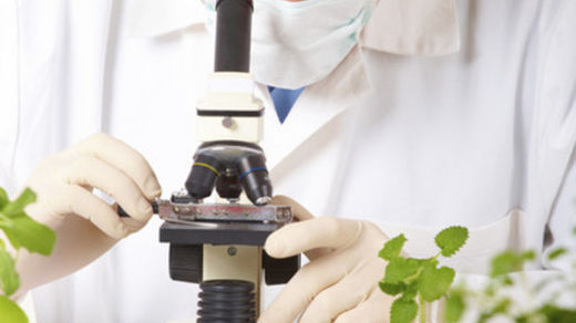 microscope