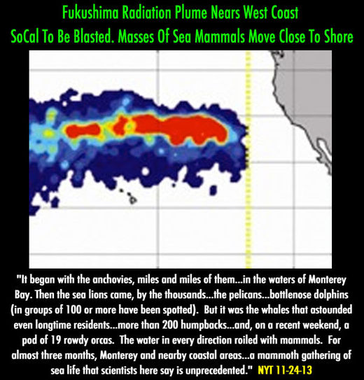 fukushima radiation plume