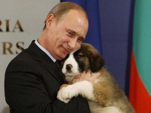 Vladmir Putin with a puppy