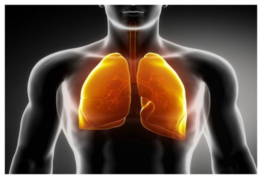 Click to enlarge Lung Function