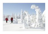 Record Snowfall
