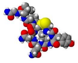 oxytocin molecule