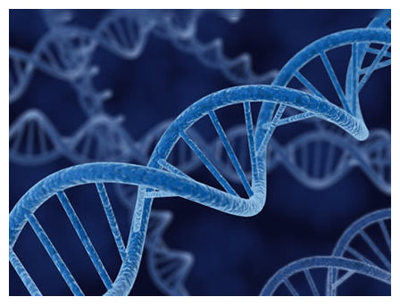 Genes