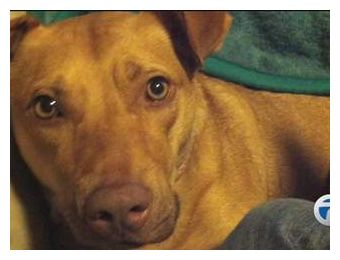 Click to enlarge Lexie