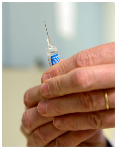flu vaccine
