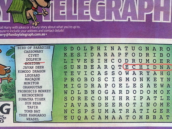 CrossWord Puzzle_1