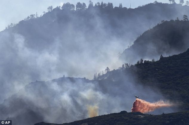 Wildfire