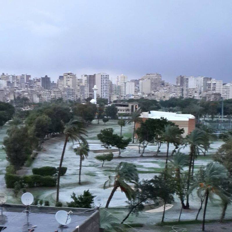 Alexandria