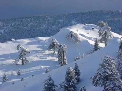 cyprus snow