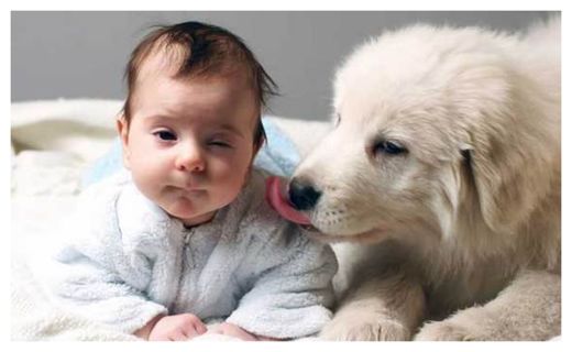 Click to enlarge Puppy and Baby