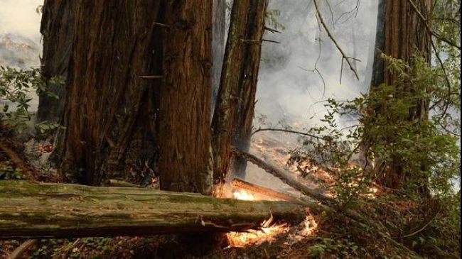 big sur wildfire