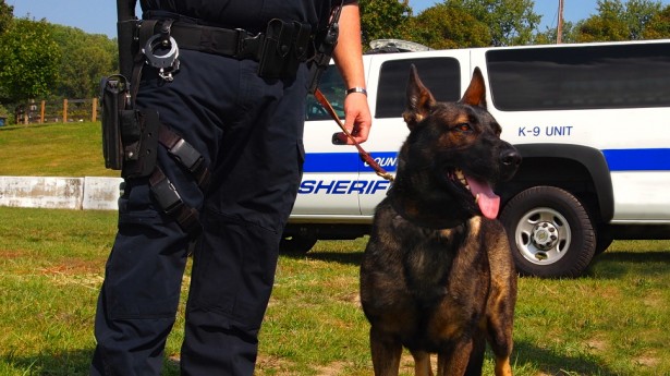 Office & K-9