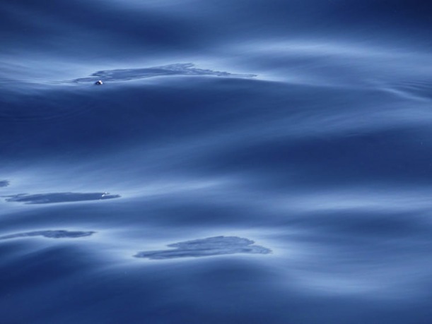 oil sheens in gulf
