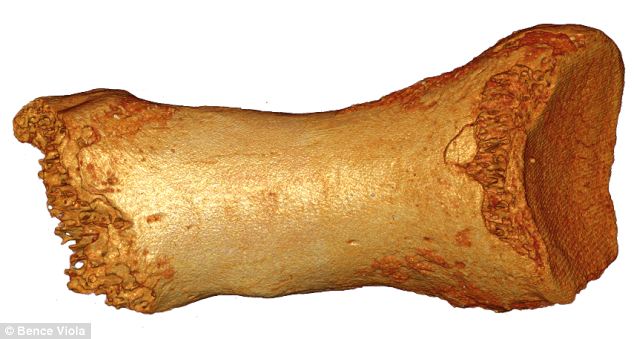 Click to enlarge Image