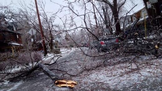 Click to enlarge downed branches due to ice