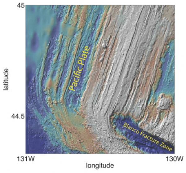 Click to enlarge Sea Floor