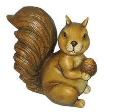 squirrel