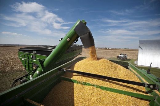 Corn Bin