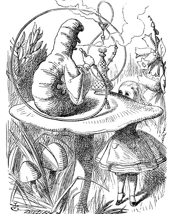 Smoking Catepillar