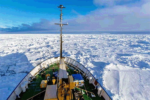 Click to enlarge Akademik Shokalskiy