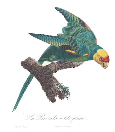 Click to enlarge Image