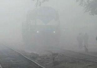 india cold
