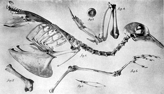 Click to enlarge Image