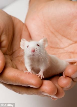 Click to enlarge mouse