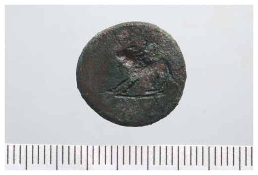 Click to enlarge Coin
