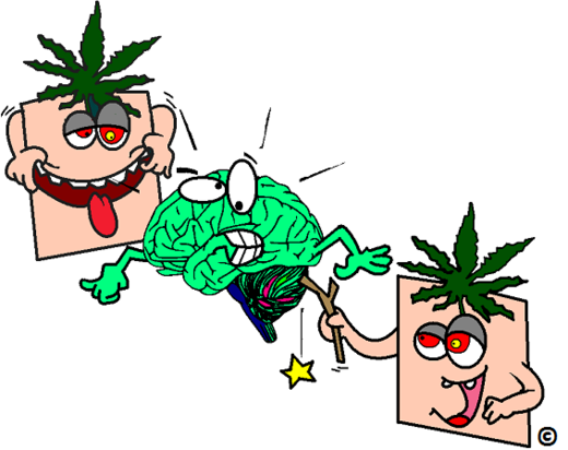 pot crazy