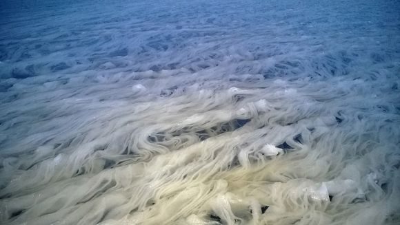 Unusual Formation