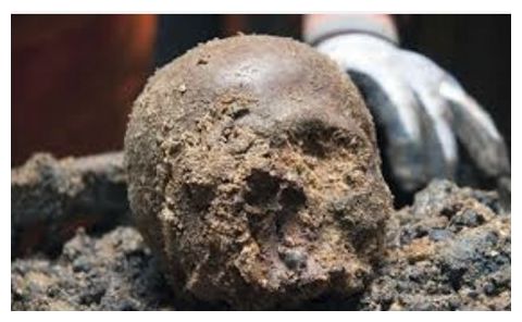Click to enlarge Skull