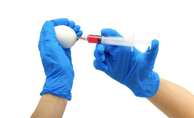 egg injection