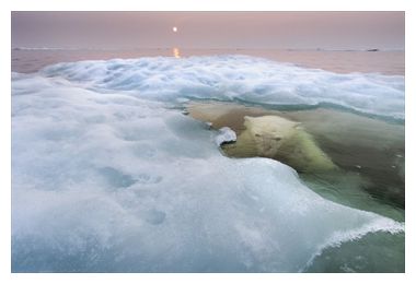 Arctic Air