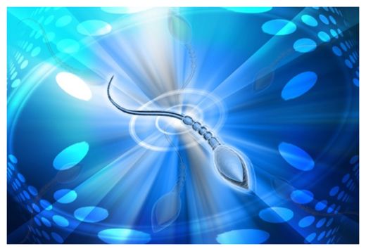 Click to enlarge Bio-Hybrid Machines
