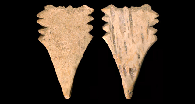 Ancient Harpoon_1