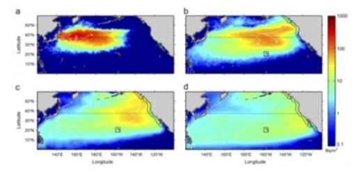Fukushima Radiation