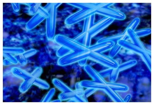 Click to enlarge Chromosomes