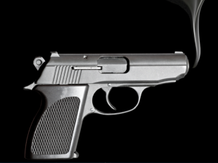 gun