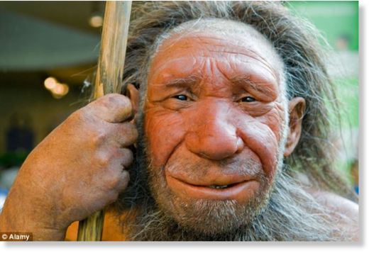 neanderthals