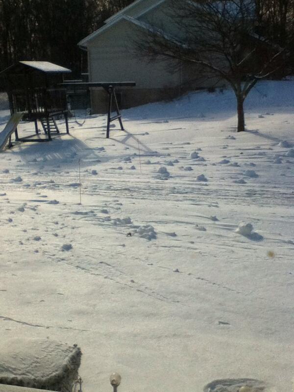 Snow Balls