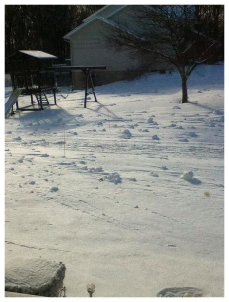 Snow Balls