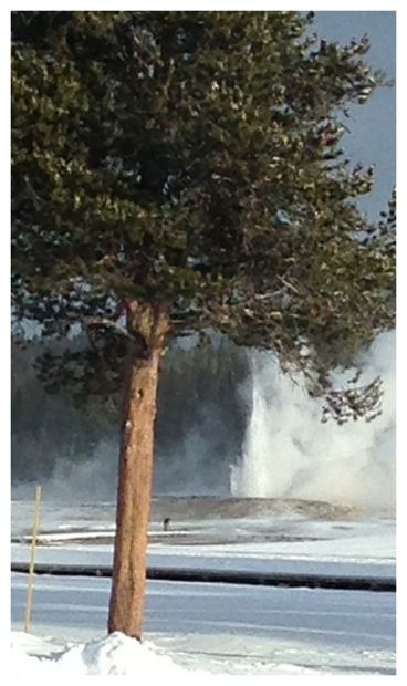 Giantess Geyser