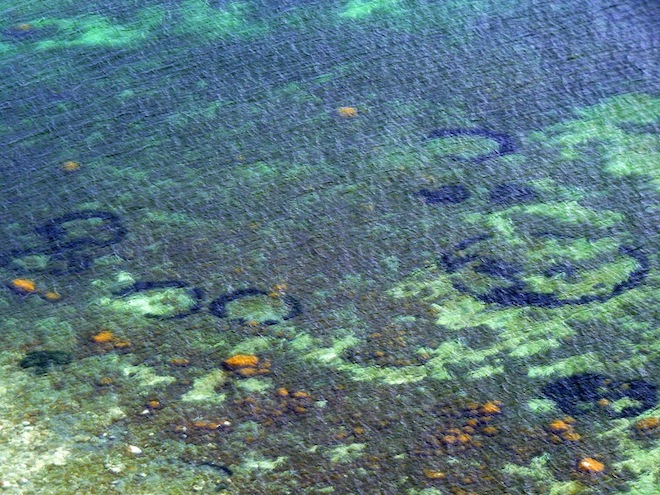 Click to enlarge Undersea crop circles