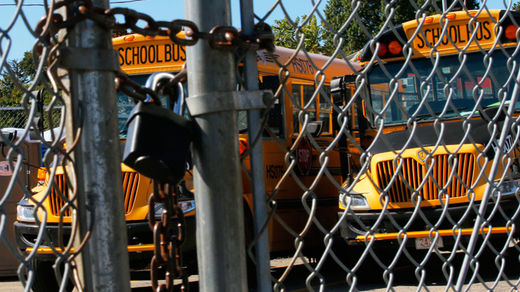 Click to enlarge school buses