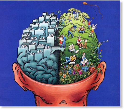 brain