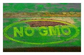 No GMO