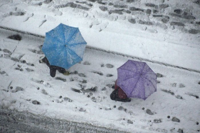 Click to enlarge Tokyo Snow_1