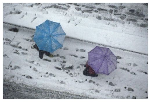 Click to enlarge Tokyo Snow_1